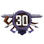 Character - Level 30 Reached