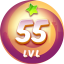 Level 55