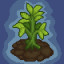 Fertilizer