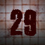 Level 29