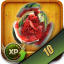 10 Fruits