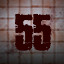 Level 55