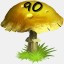 Mushrooms Collected 90