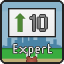 Expert