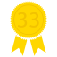 Level 33