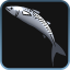 100 tons Mackerel