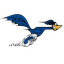 Road Runner