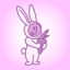 Rabbit Food