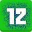 Level 12