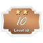Level 10