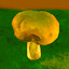Collect 10 mushrooms