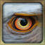 Eagle eye