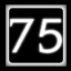 Level 75