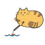Fishing Cat