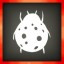 A Lady's Bug!