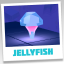 JellyFish