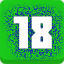 Level 18