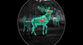 wild hunt  sport hunting game google play achievements