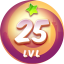 Level 25
