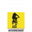 Intermediate
