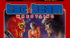 tag team wrestling retro achievements