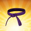 Purple Belt
