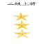 二級上將