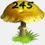 Mushrooms Collected 245