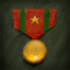 Decorated Combat Commander