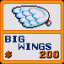 Big Wings