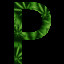 P Weed