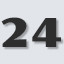 Level 24