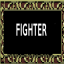 Fighter
