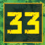 Level 33