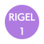 Clear RIGEL first stage