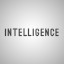 INTELLIGENCE