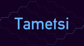 tametsi steam achievements