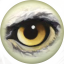 Eagle Eye