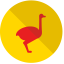 Golden Ostrich