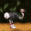 Expresso the Ostrich