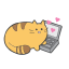 Laptop Cat