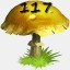 Mushrooms Collected 117