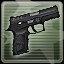 P250 Expert