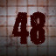 Level 48