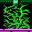 Ecology