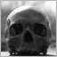 SKULL #2