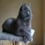 Chartreux