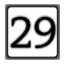 Level 29