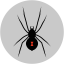 Widow Spider
