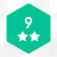 Level 9: 2 stars
